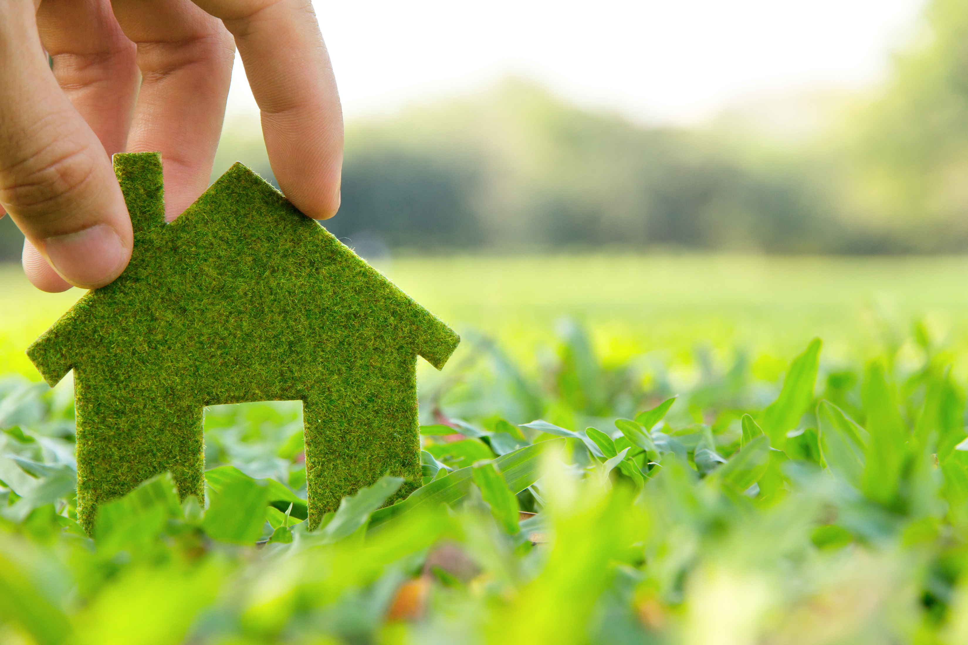 Green home