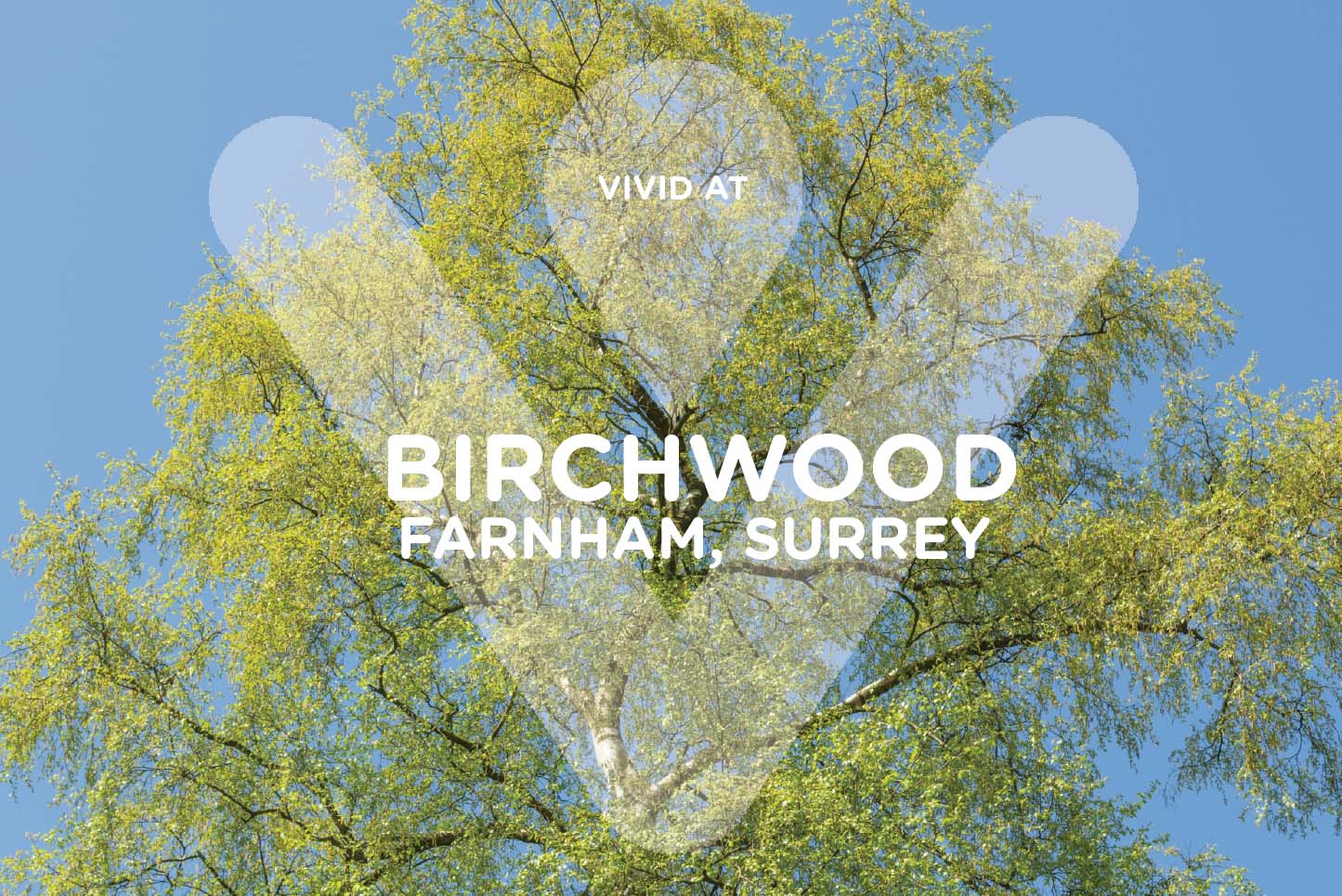 Birchwood Logo