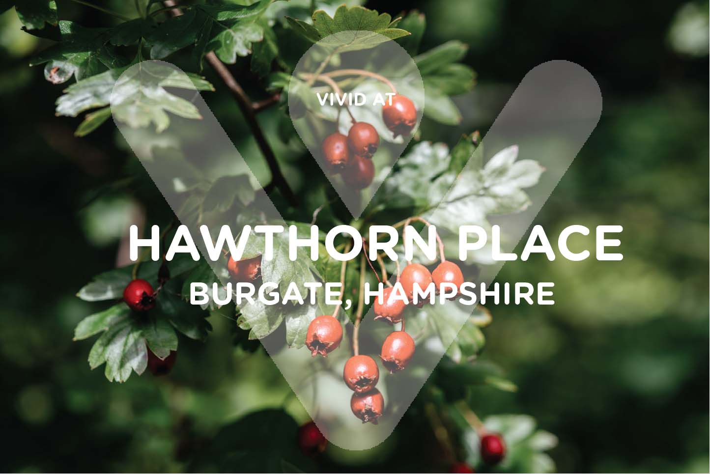 Hawthorn Place Logo